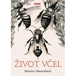 Život včel