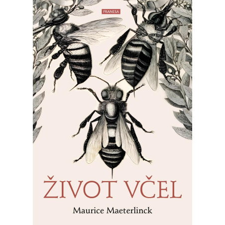 Život včel