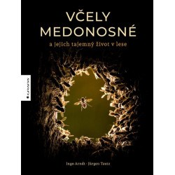 Včely medonosné a jejich tajemný život v lese