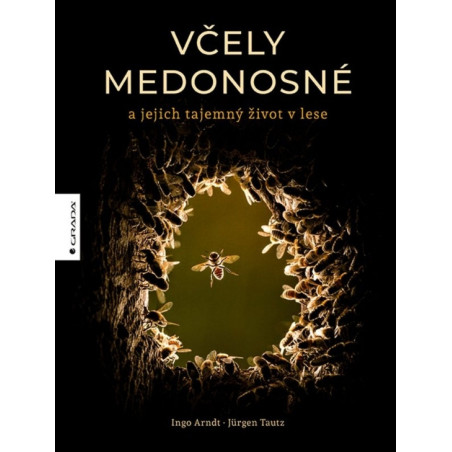 Včely medonosné a jejich tajemný život v lese