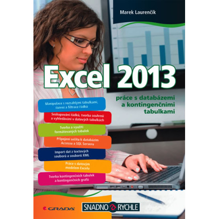 Excel 2013 práce s databázemi a kontingenčními tabulkami