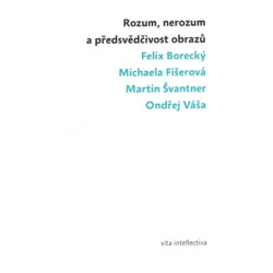 Rozum, nerozum a předsvědčivost obrazů