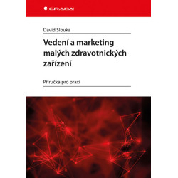Vedení a marketing malých zdravotnických zařízení - Příručka pro praxi