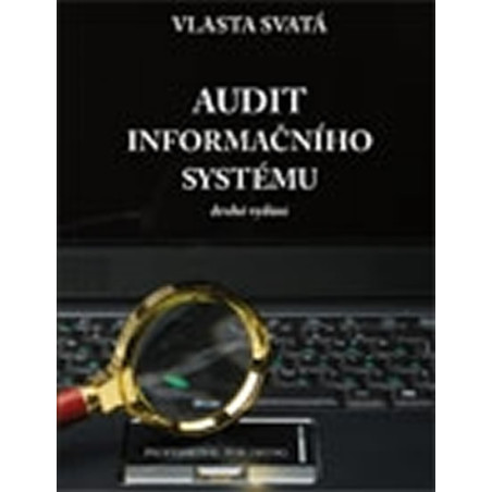 Audit informačního systému