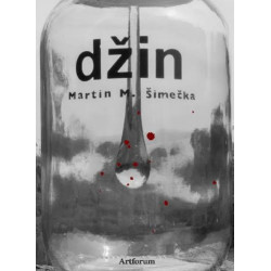 Džin