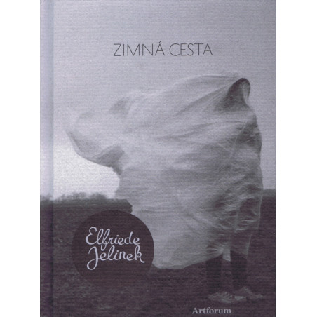 Zimná cesta