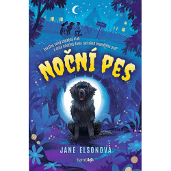 Noční pes