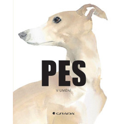 Pes v umění