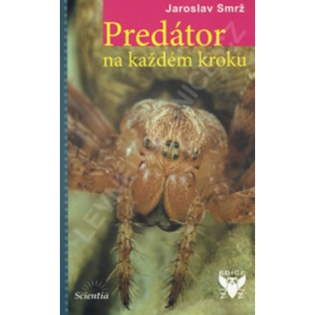 Predátor na každém kroku