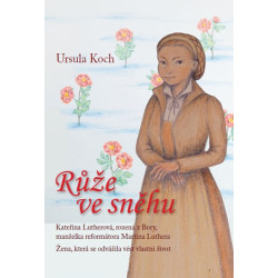 Růže ve sněhu