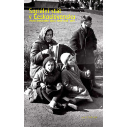 Sociální stát v Československu - Právně-institucionální vývoj v letech 1918-1992