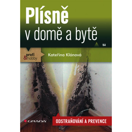 Plísně v domě a bytě - odstraňování a prevence
