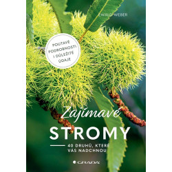 Zajímavé stromy - 40 druhů, které vás nadchnou