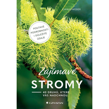 Zajímavé stromy - 40 druhů, které vás nadchnou
