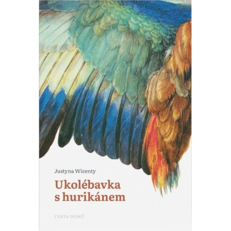 Ukolébavka s hurikánem