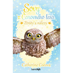 Sovy z Čarovného lesa 4 - Ztráty a nálezy