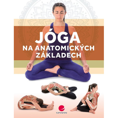 Jóga na anatomických základech
