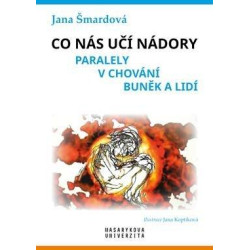 Co nás učí nádory - Paralely v chování buněk a lidí