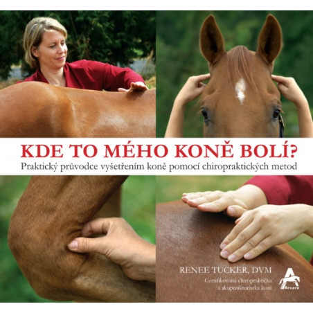 Kde to mého koně bolí?