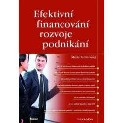 Efektivní financování rozvoje podnikání