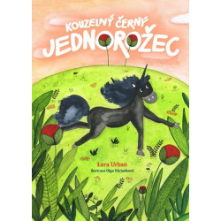 Kouzelný černý jednorožec