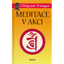 Meditace v akci