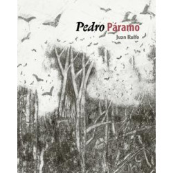 Pedro Páramo