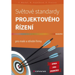 Světové standardy projektového řízení pro malé a střední firmy