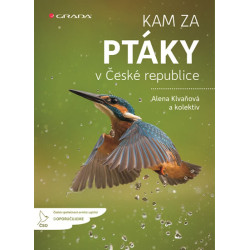 Kam za ptáky v České republice