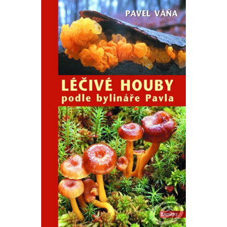 Léčivé houby podle bylináře Pavla