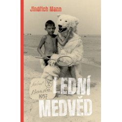 Lední medvěd