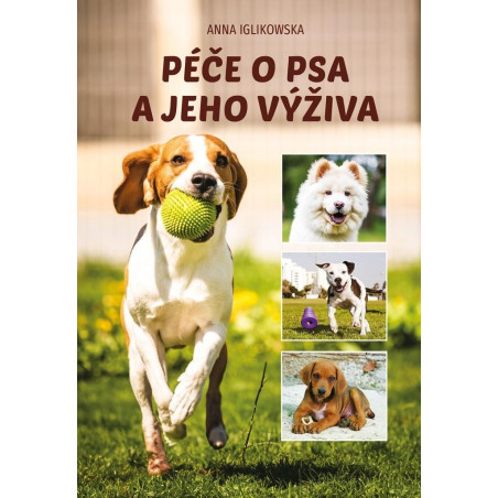 Péče o psa a jeho výživa