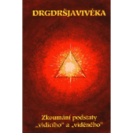 Drgdršjavivéka: Zkoumání podstaty vidícícho a viděného