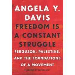 Freedom Is A Constant Struggle : Ferguson, Palestine, and the Foundations of a Movement