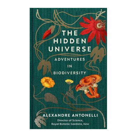 The Hidden Universe