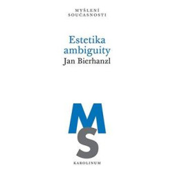 Estetika ambiguity