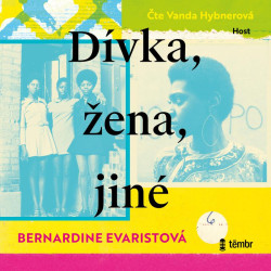 Dívka, žena, jiné - audioknihovna