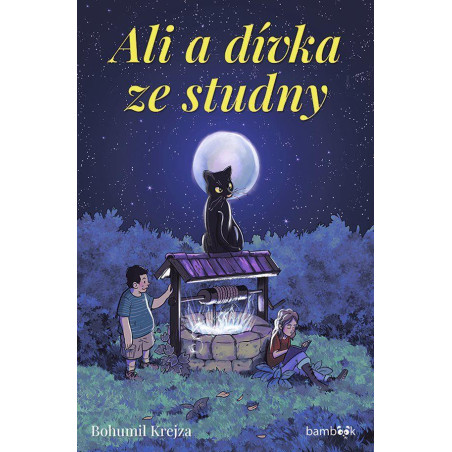 Ali a dívka ze studny