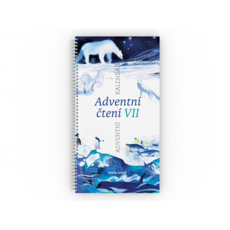 Adventní čtení VII