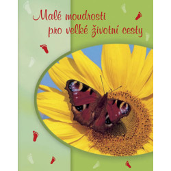 Malé moudrosti pro velké životní cesty