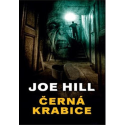 Černá krabice