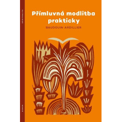 Přímluvná modlitba prakticky