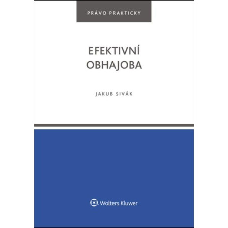 Efektivní obhajoba