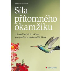 Síla přítomného okamžiku - 15 meditačních cvičení pro plnější a radostnější život