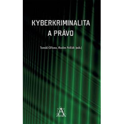 Kyberkriminalita a právo