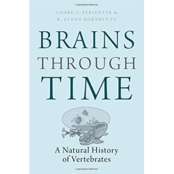 Brains Through Time: A Natural History o