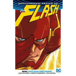 Flash 1: Když blesk udeří dvakrát