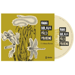 Před povodní - audioknihovna
