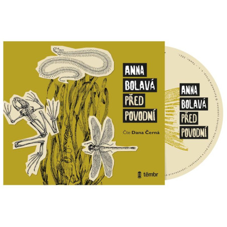 Před povodní - audioknihovna