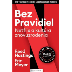Bez pravidiel (Netflix a kultúra znovuzrodenia)
